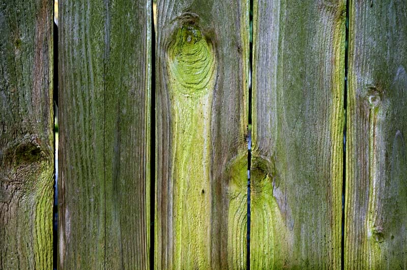 Lime Green Fence